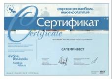 Сертификат Евроэкспомебель 2010